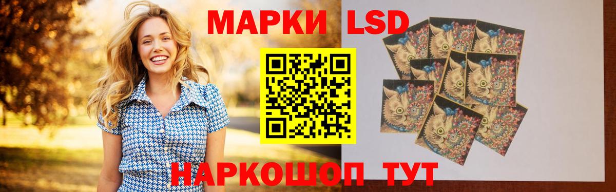 Щёлково  Лсд 25 экстази ecstasy  Вход с VPN  ЛСД экстази кислота 