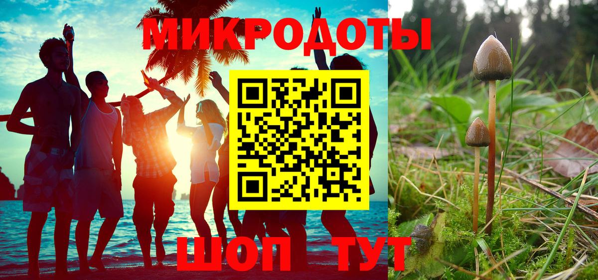 Псилоцибиновые грибы прущие грибы Щёлково