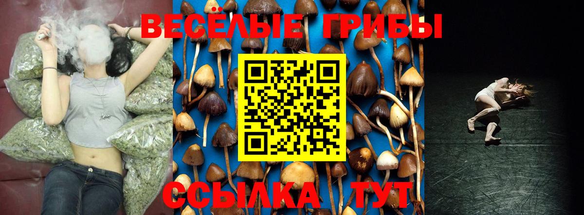 Галлюциногенные грибы GOLDEN TEACHER  Псилоцибиновые грибы MAGIC MUSHROOMS  Щёлково  Вход с VPN 